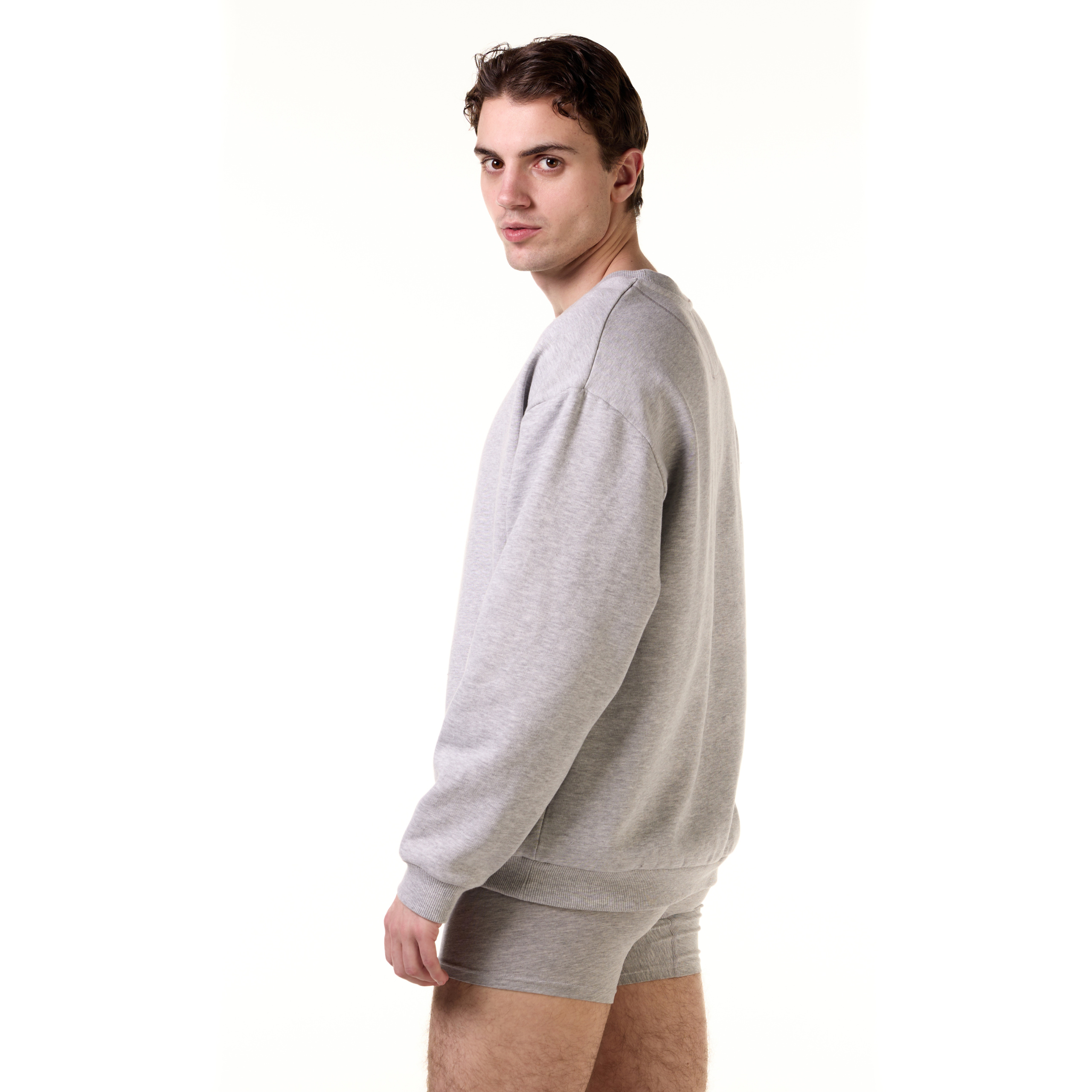 Regular Fit Half-zip Sweatshirt - Light gray melange - Men